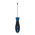 1600.A03.9SC-000 PRO DESTORNILLADOR TX25 X 100 MM - BOSCH